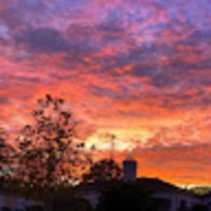 Meet your Posher, Lior